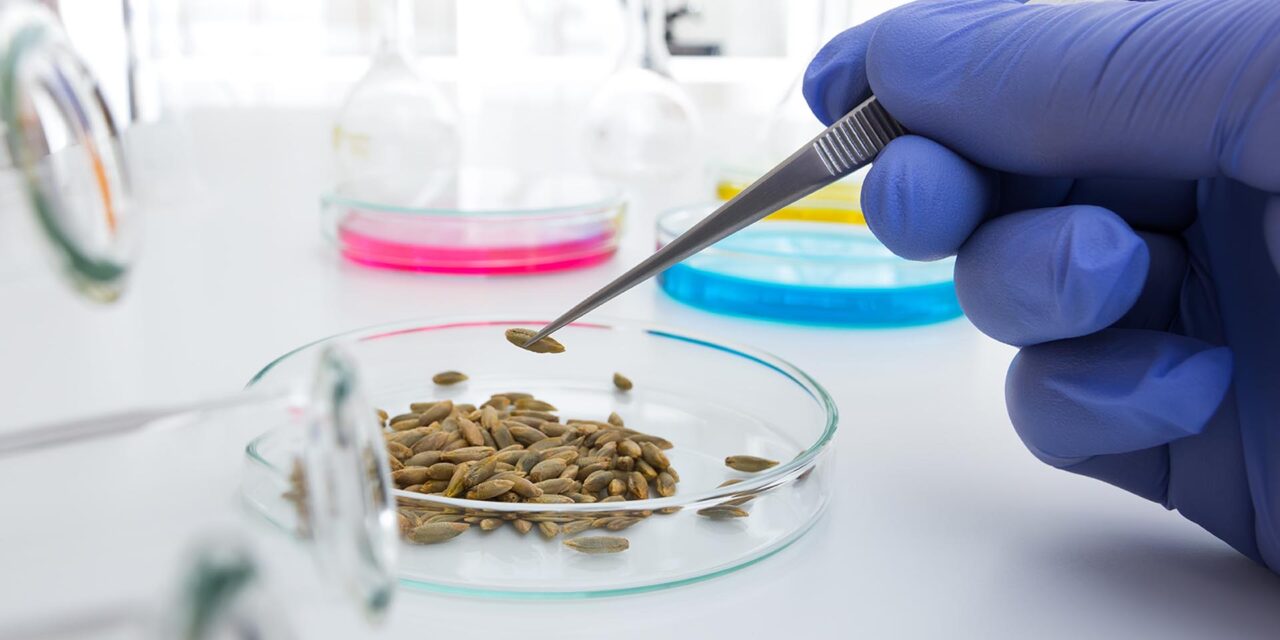 Seed lab